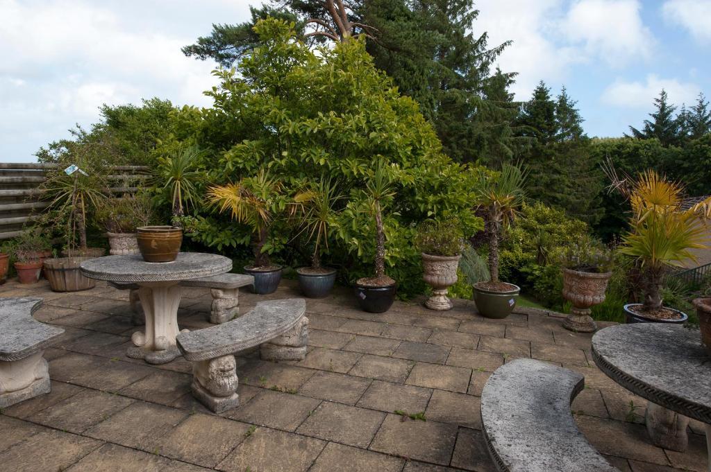 Cwmwennol Country House Saundersfoot Exteriör bild